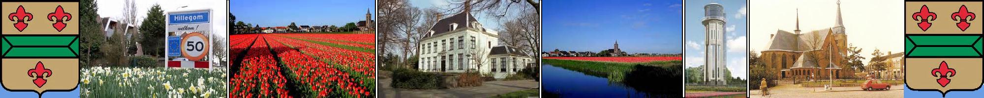 Foto's van Hillegom